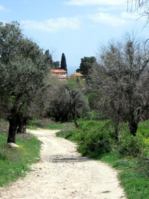 פינה שקטה בראש פינה העתיקה Pina Shketa In Old Rosh-pina Apartment Rosh Pinna